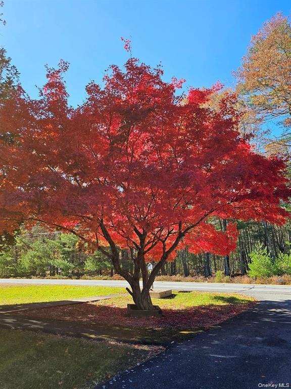 107 Eldred-Yulan Road Eldred, NY 12732 - Photo 6 of 24 a view of swimming pool with an outdoor space and seating area