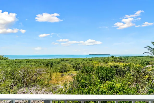 a view of a yard with an outdoor space
