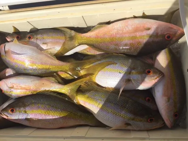 a view of outdoor space yard and patio