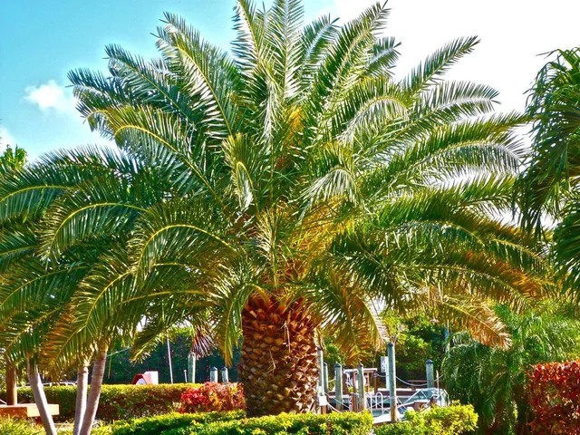 a view of a balcony with an outdoor space