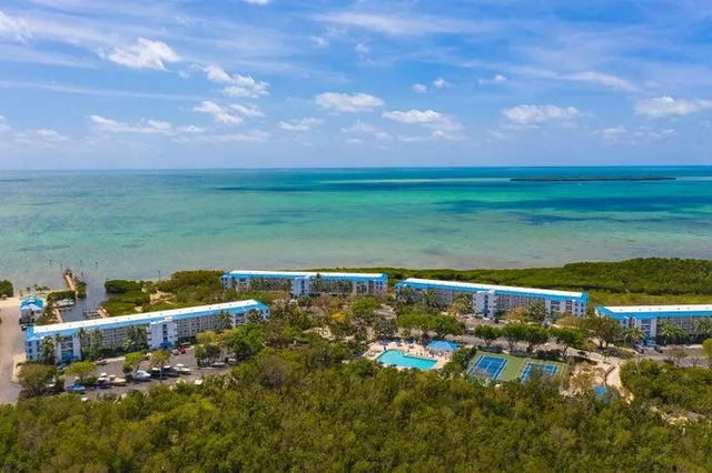 a view of a yard in front of the house