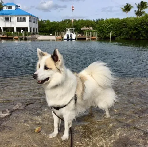 a view of a large body of water with lots of bushes