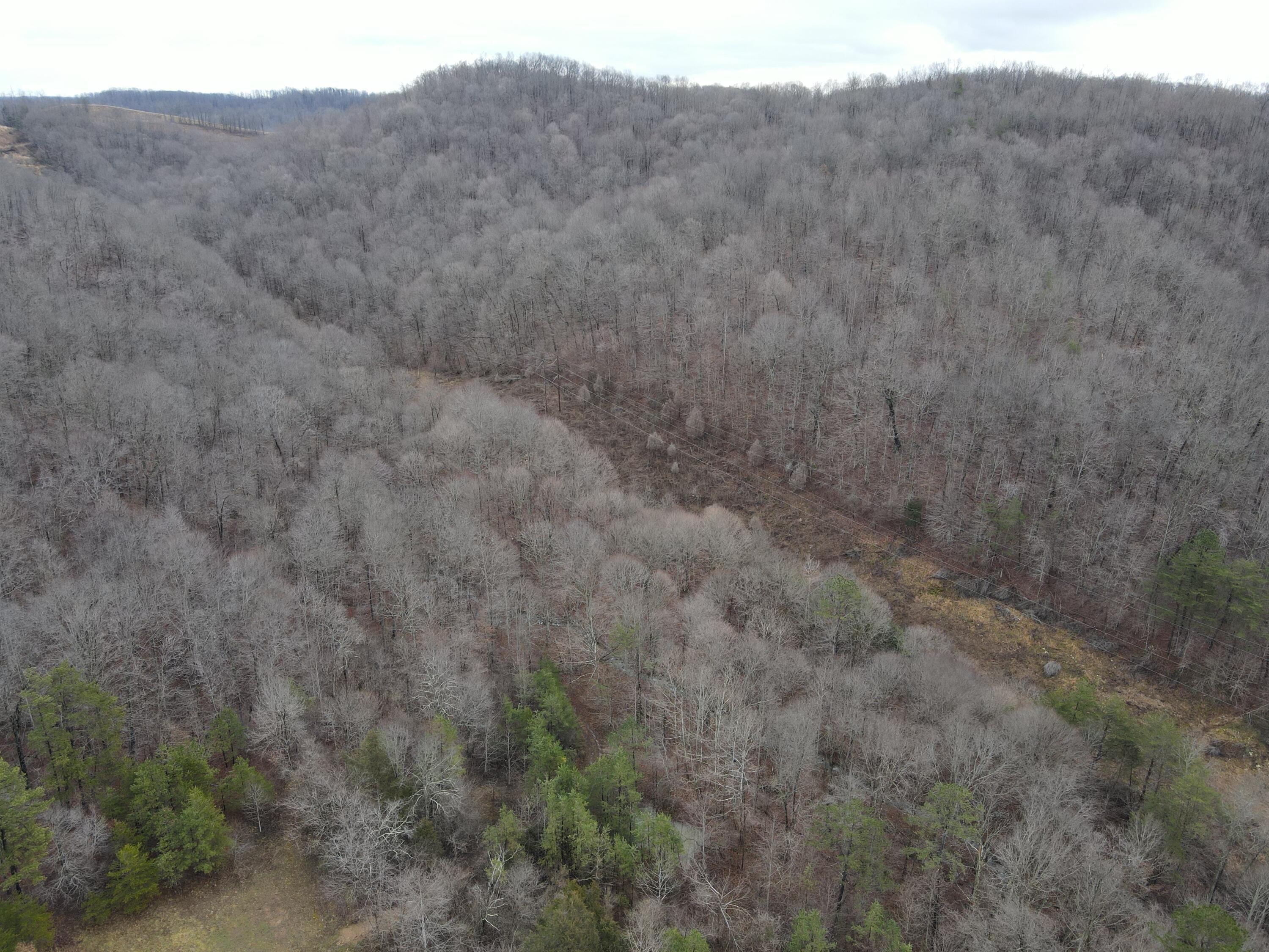 156 Mohawk Road Mount Vernon, KY 40456 - Photo 34 of 34 9FAF4469-76A2-41D5-B4BD-F9BC5465B875