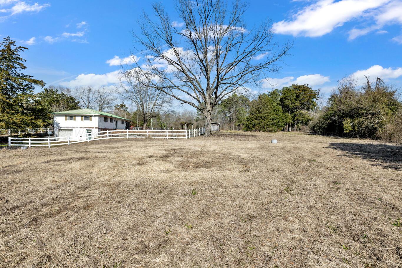 132 Drummond Cemetery Road Jasper, AL 35504 - Photo 4 of 45 _FOS1788
