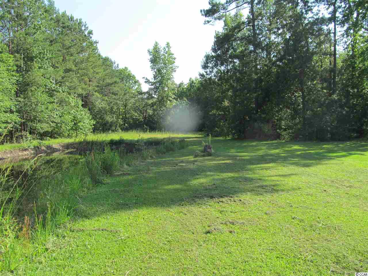 865 County Rd S-45-319 Hemingway, SC 29554 - Photo 23 of 40