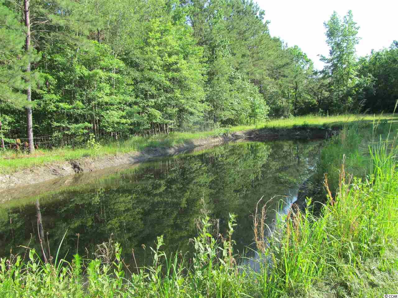 865 County Rd S-45-319 Hemingway, SC 29554 - Photo 24 of 40
