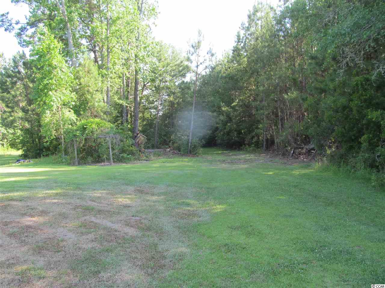 865 County Rd S-45-319 Hemingway, SC 29554 - Photo 25 of 40