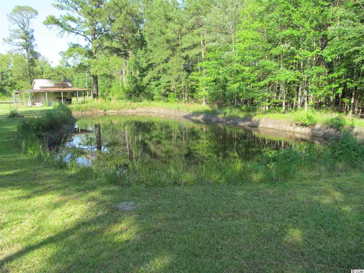 865 County Rd S-45-319 Hemingway, SC 29554 - Photo 26 of 40