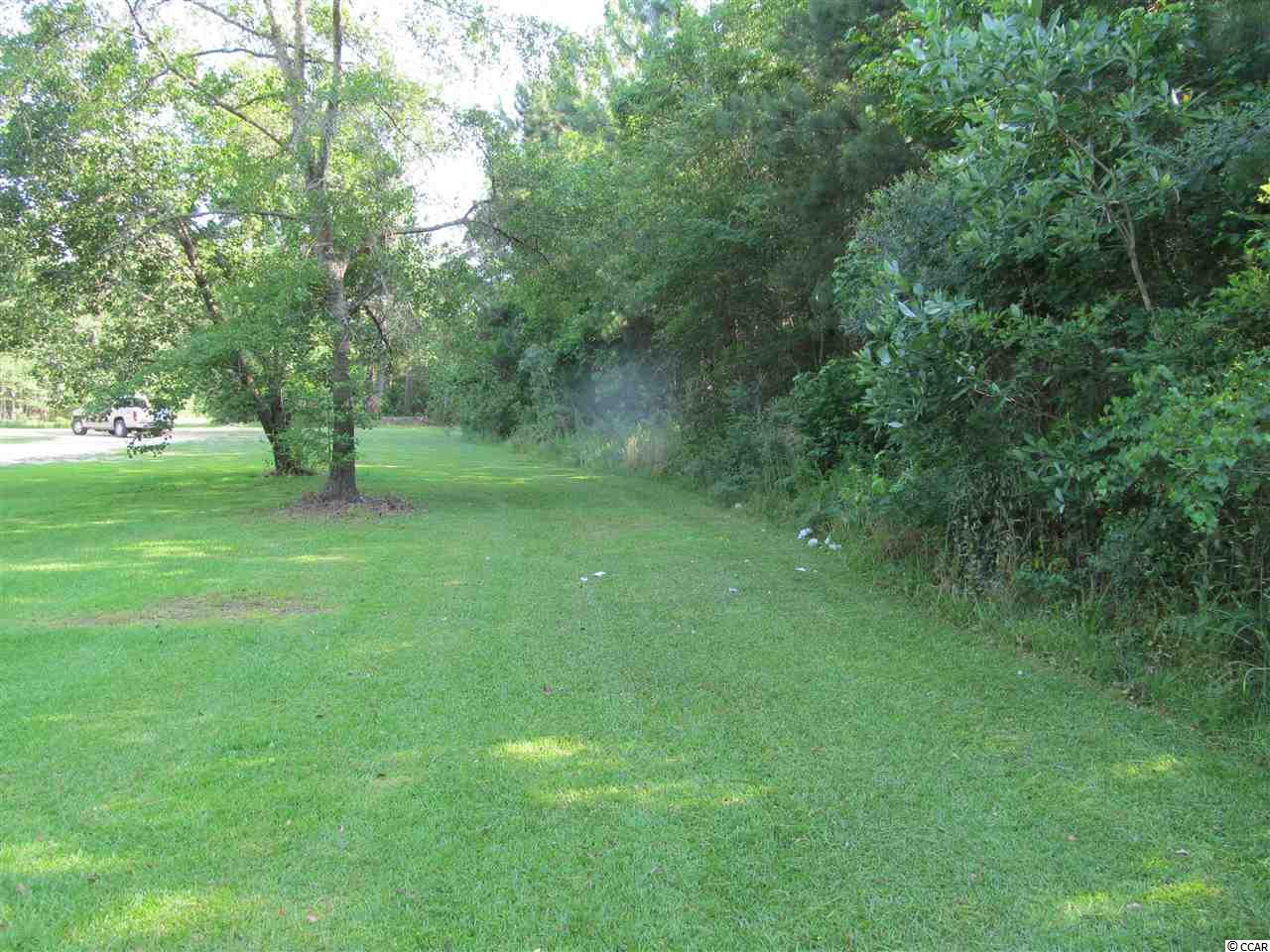 865 County Rd S-45-319 Hemingway, SC 29554 - Photo 27 of 40