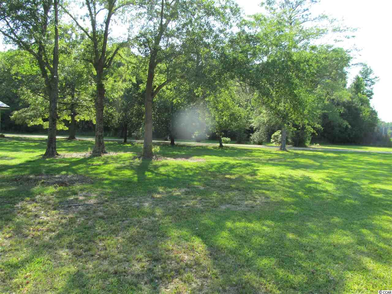 865 County Rd S-45-319 Hemingway, SC 29554 - Photo 28 of 40