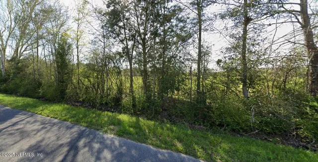 a view of a forest with a trees