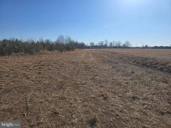 a view of a lake and mountain in the back