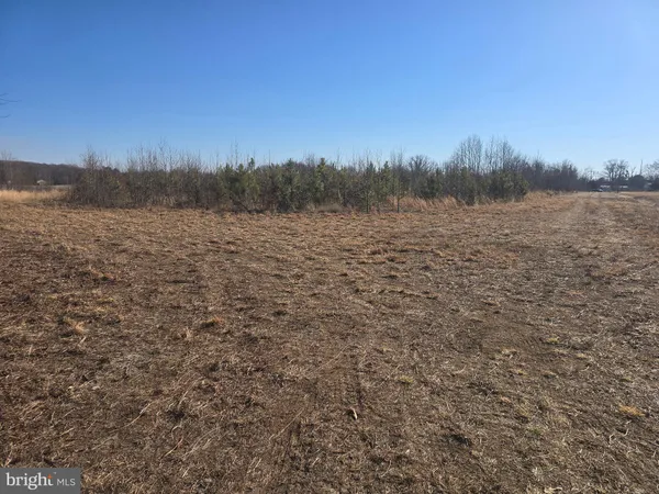 a view of a field with trees in the background