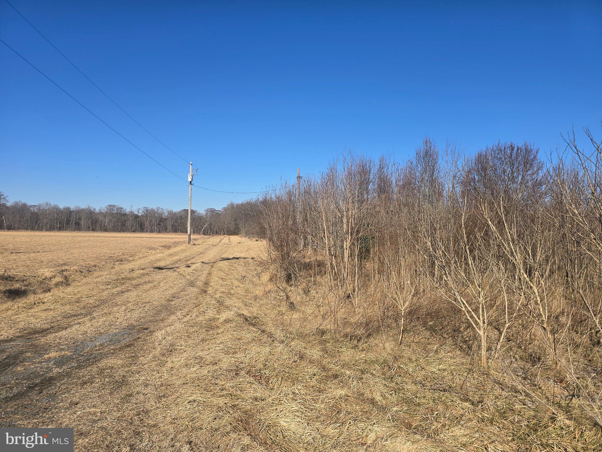 7593 West Street Willards, MD 21874 - Photo 4 of 11 a view of a field with trees in the background