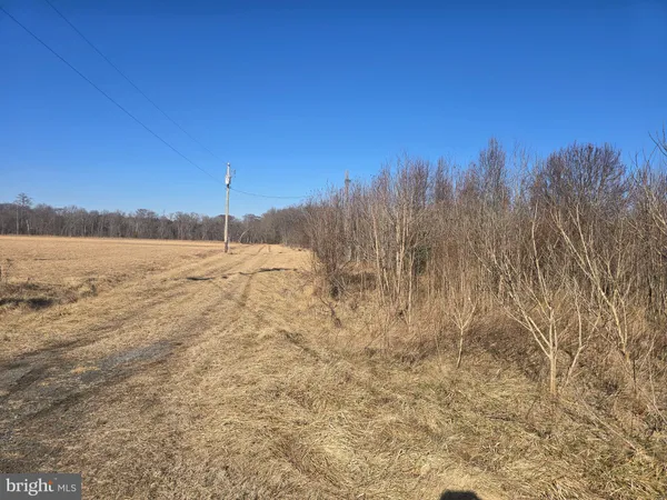 a view of mountain view with trees in the background
