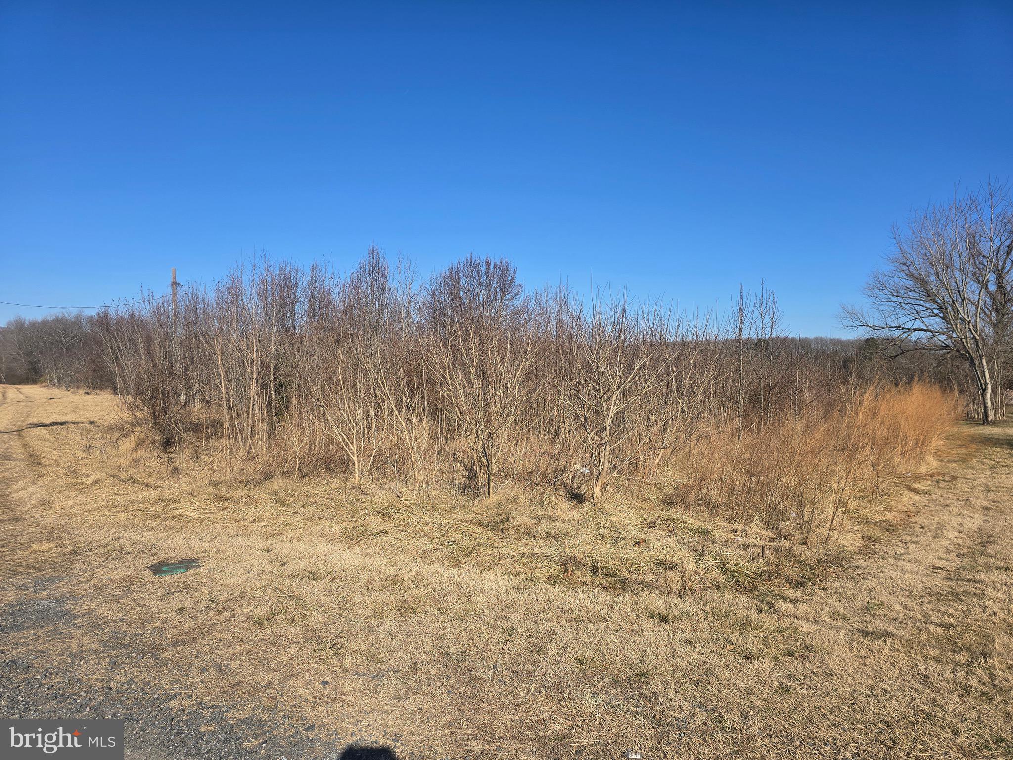 7593 West Street Willards, MD 21874 - Photo 6 of 11 a view of mountain view with trees in the background