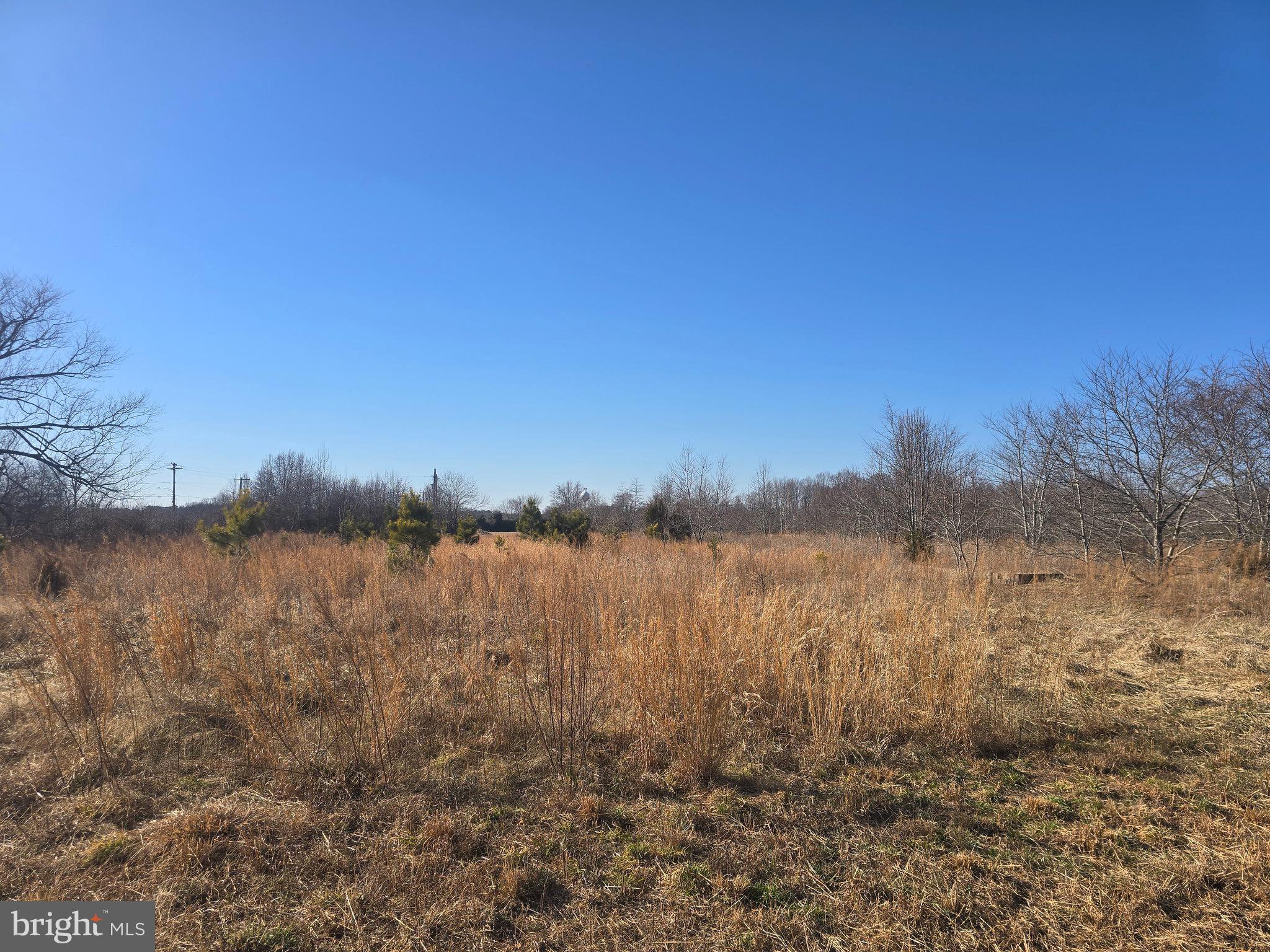 7593 West Street Willards, MD 21874 - Photo 9 of 11 a view of lake