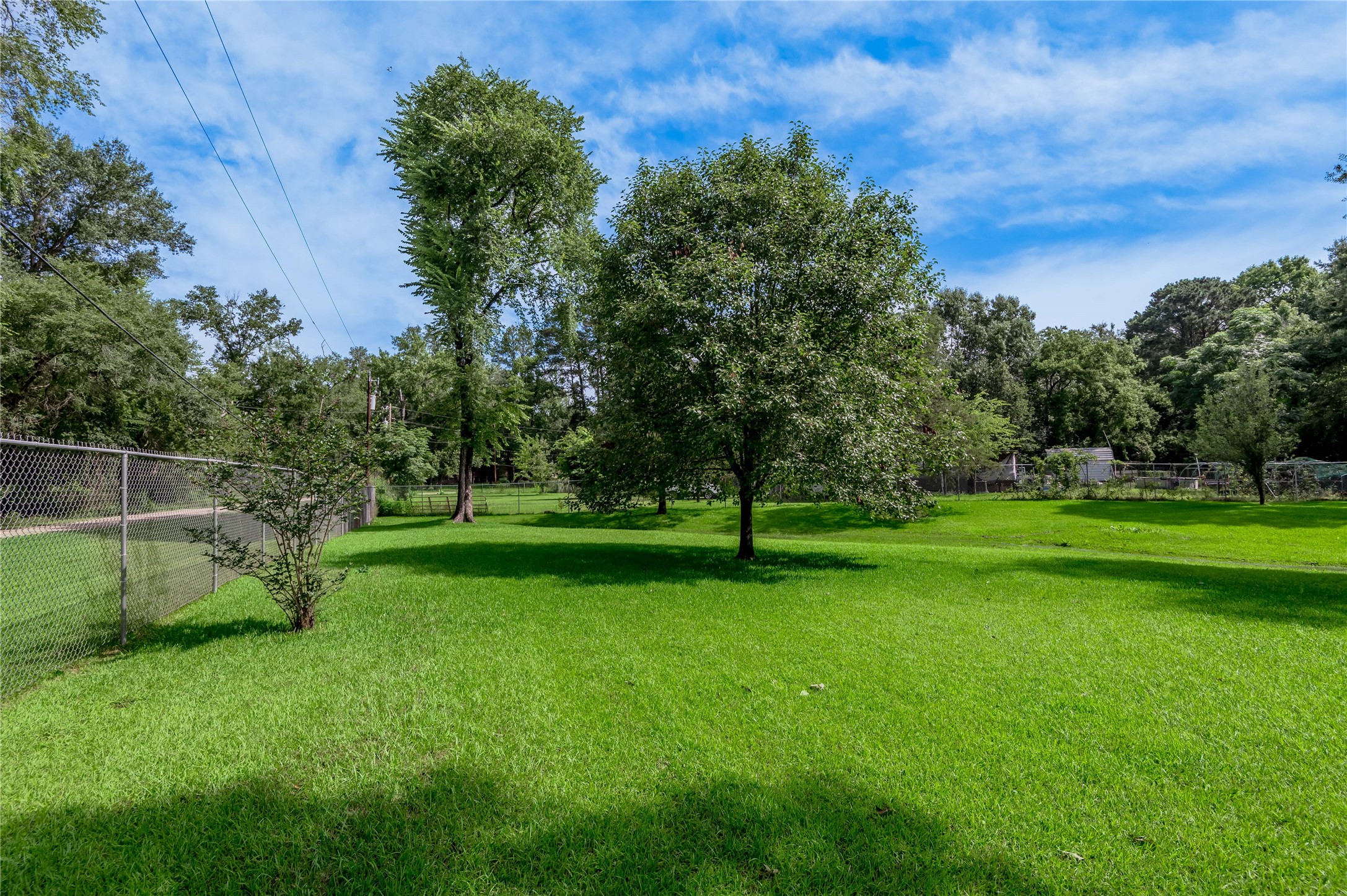405 Peacock Path Trinity, TX 75862 - Photo 46 of 49