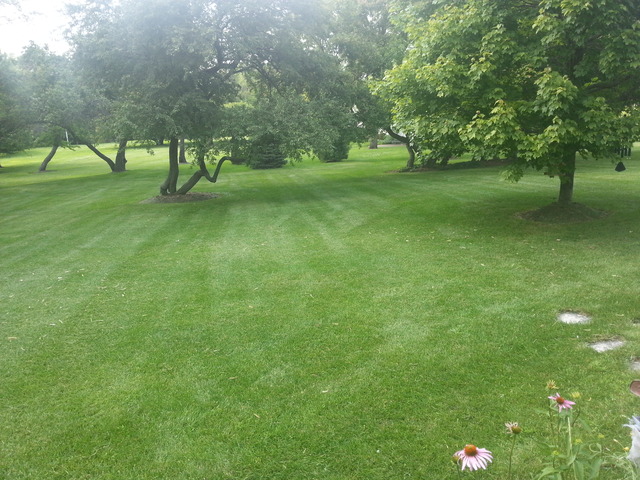 1718 Appleby Road Inverness, IL 60067 - Photo 24 of 24 a view of grassy field with trees