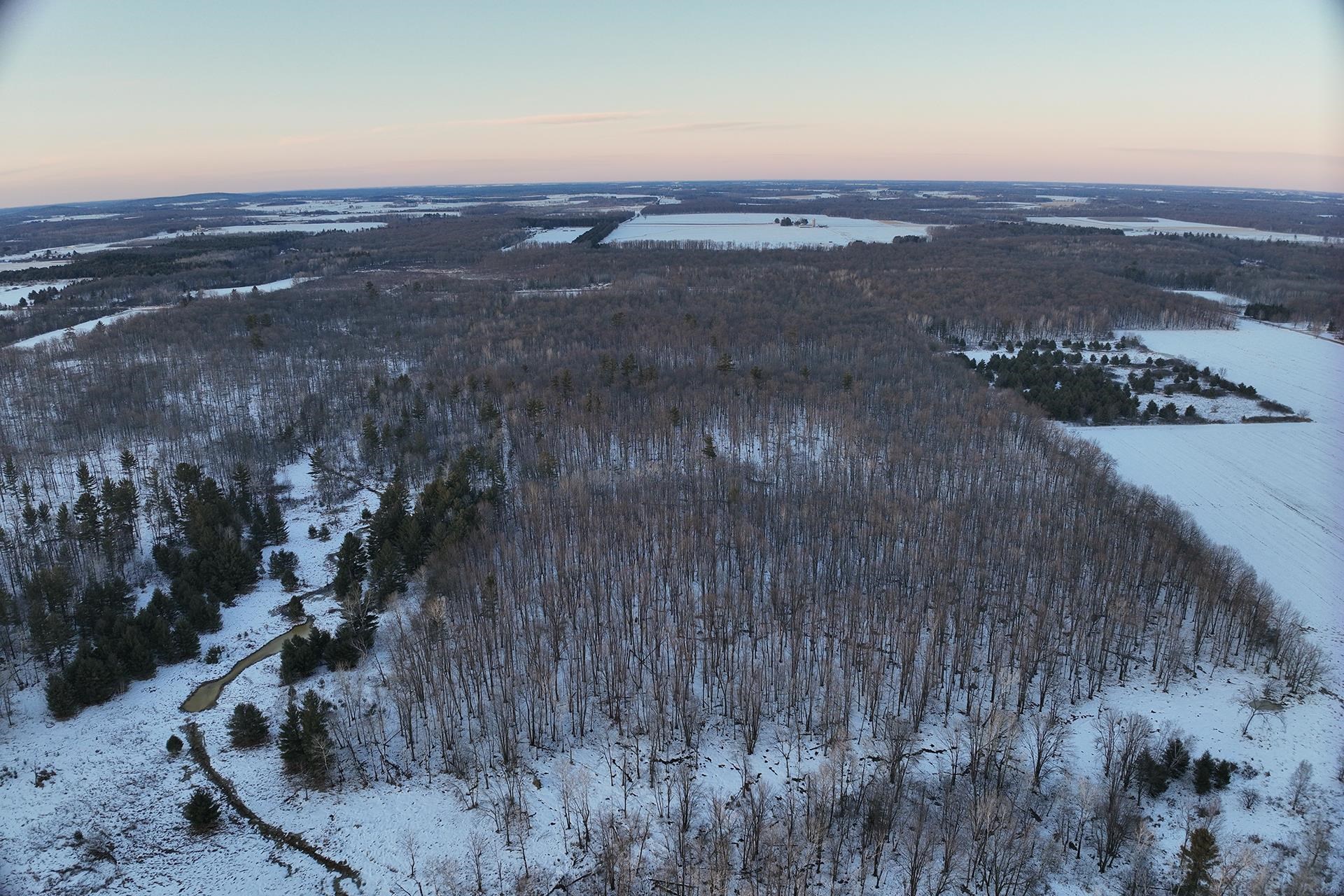 65.32-acres Bobwhite Road Neillsville, WI 54456 - Photo 24 of 26