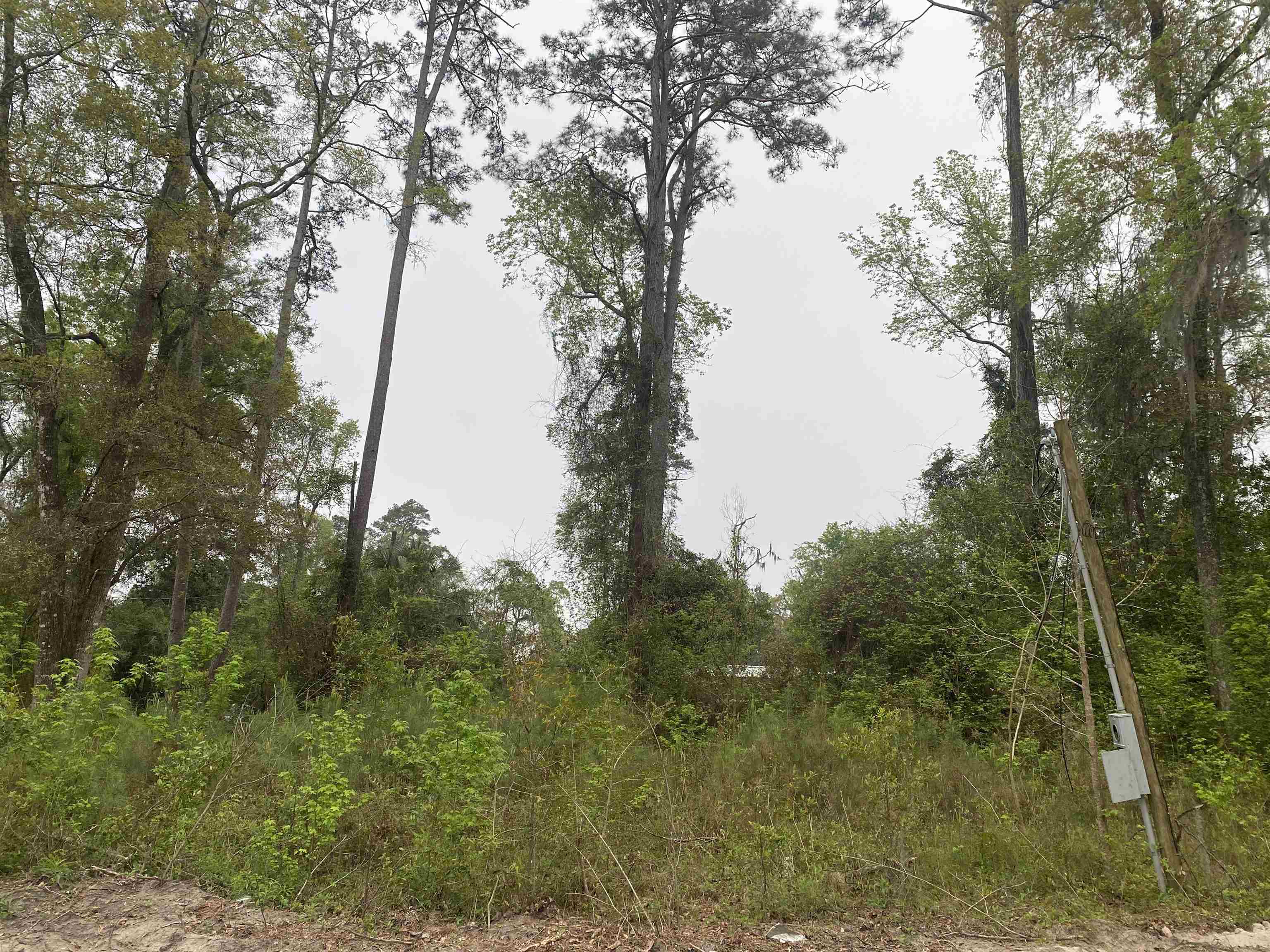 24 Maxson Road Crawfordville, FL 32327 - Photo 5 of 9 Gallery Image 5