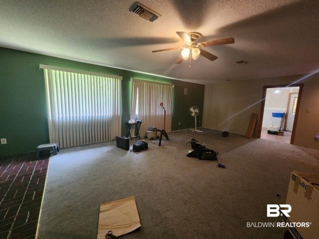 32749 Antietam Road Lillian, AL 36549 - Photo 16 of 47 Workout room with carpet flooring, ceiling fan, and a textured ceiling