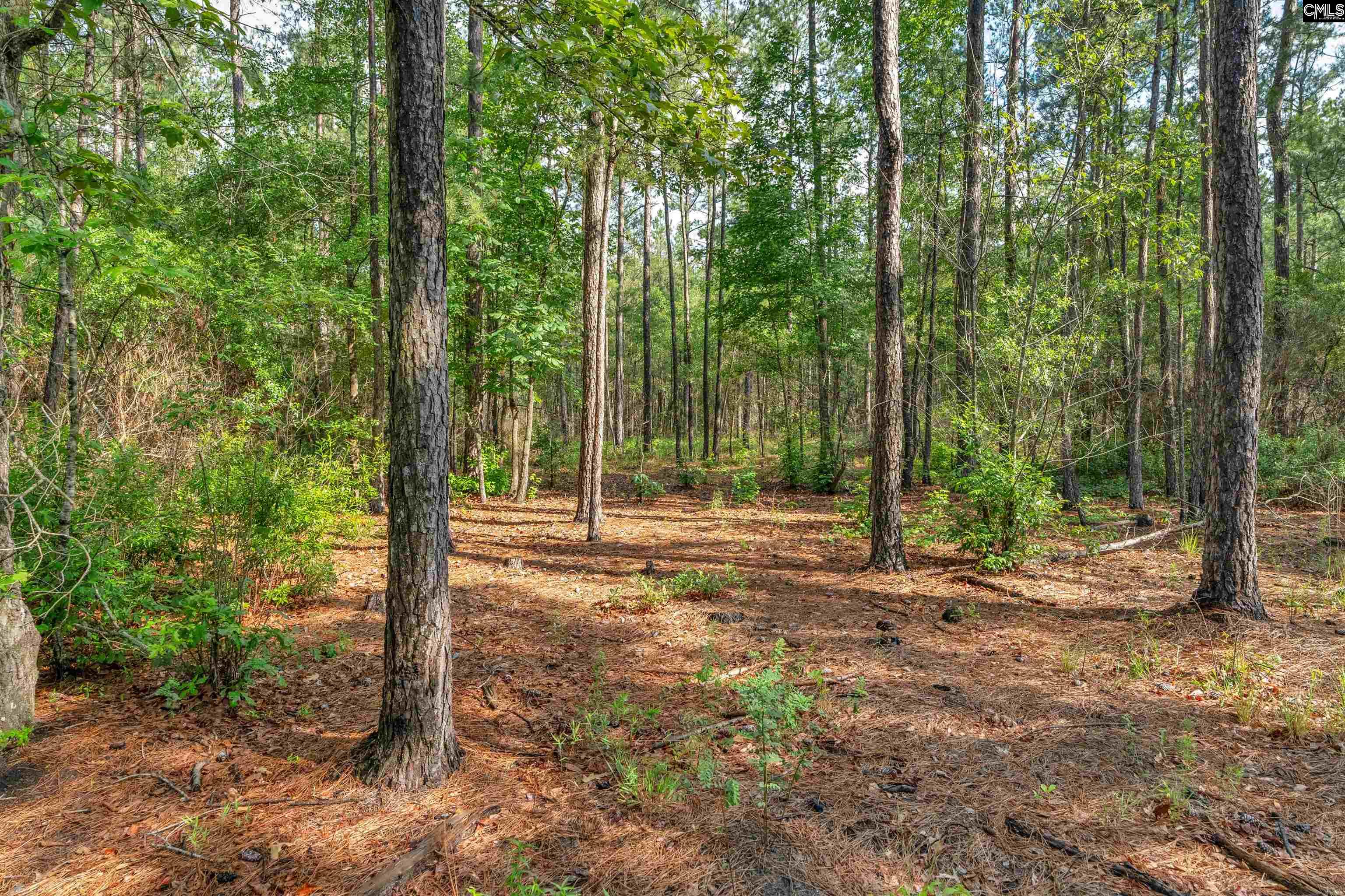 0 North Brewington Road, Unit 10 Manning, SC 29102 - Photo 8 of 29