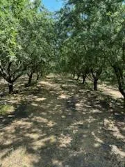 $5,000,000 | 3718 West Tuolumne Road, Turlock, CA 95380