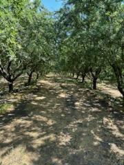 3718 West Tuolumne Road Turlock, CA 95380 - Photo 15 of 16