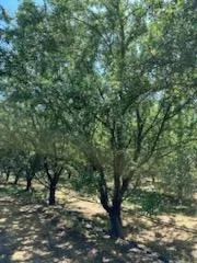 $5,000,000 | 3718 West Tuolumne Road, Turlock, CA 95380