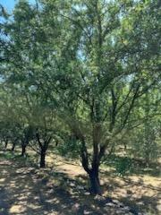 3718 West Tuolumne Road Turlock, CA 95380 - Photo 10 of 16