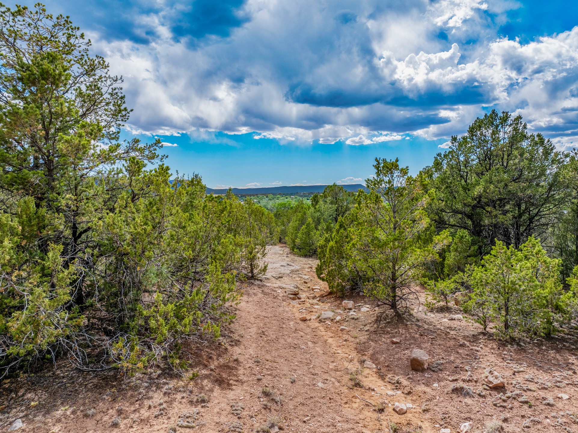 2.38-acres Old Colonias Road Pecos, NM 87552 - Photo 13 of 25