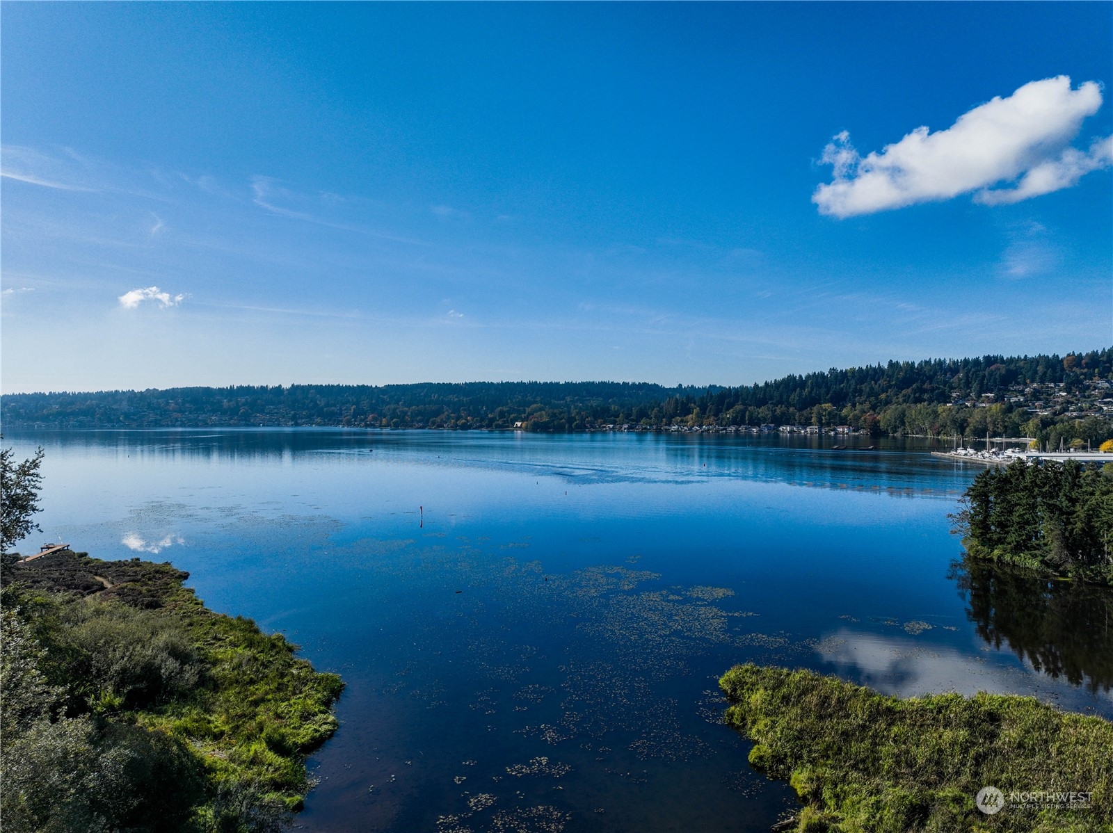 16929 Inglewood Road Northeast, Unit 203 Kenmore, WA 98028 - Photo 3 of 39