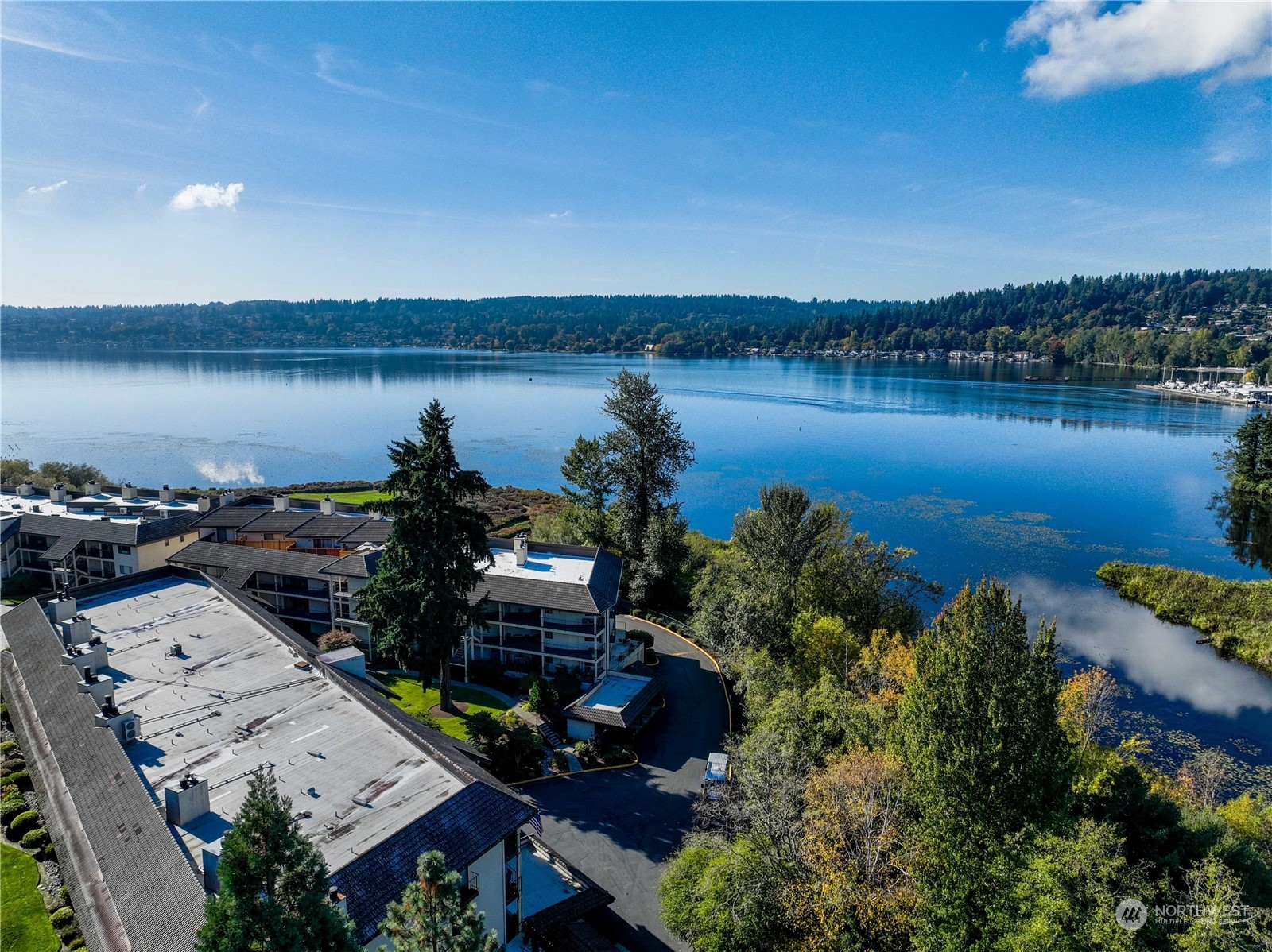 16929 Inglewood Road Northeast, Unit 203 Kenmore, WA 98028 - Photo 4 of 39
