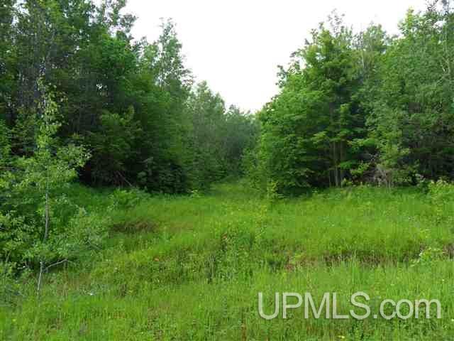 Off Firesteel Road Ontonagon, MI 49929 - Photo 3 of 9