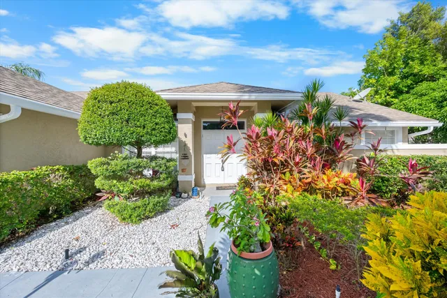 a view of a garden with plants