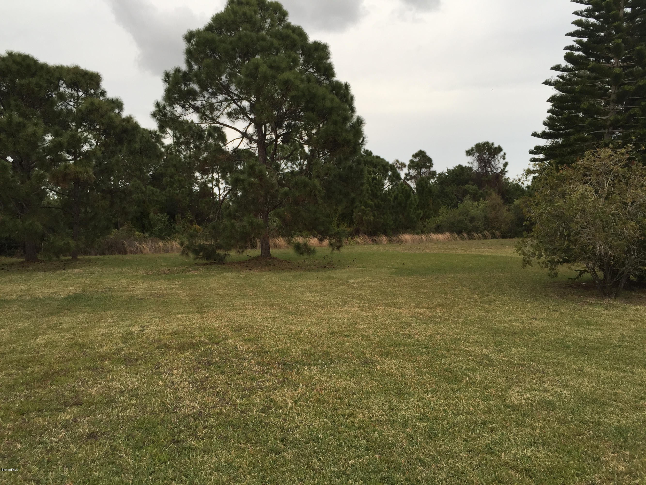 2880 Pomello Road Malabar, FL 32950 - Photo 20 of 20 Backyard