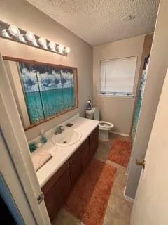 a bathroom with a sink mirror vanity and toilet