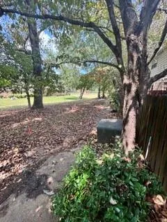 a view of a yard with of trees