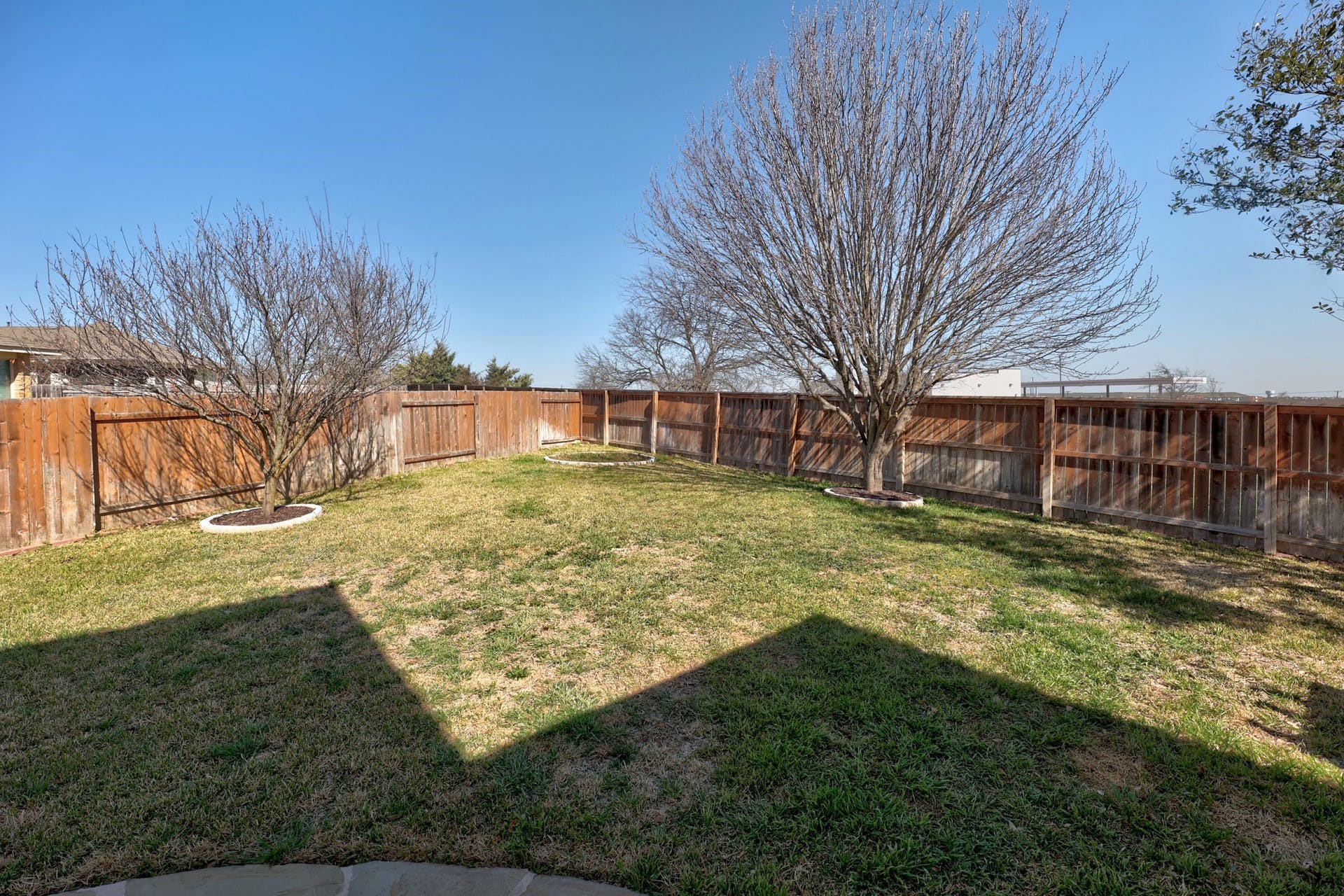 1301 Sunny Meadows Loop Georgetown, TX 78626 - Photo 23 of 26