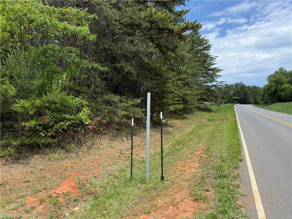 0-0 White Road King, NC 27021 - Photo 3 of 13