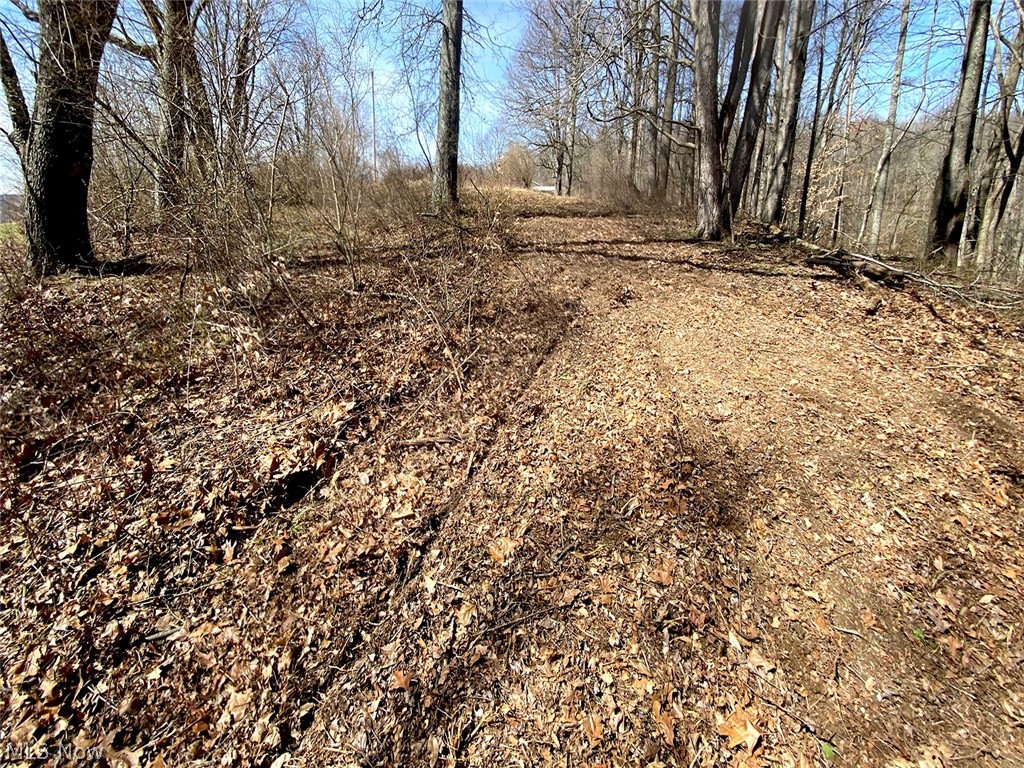 0 Township Road Coshocton, OH 43812 - Photo 6 of 24