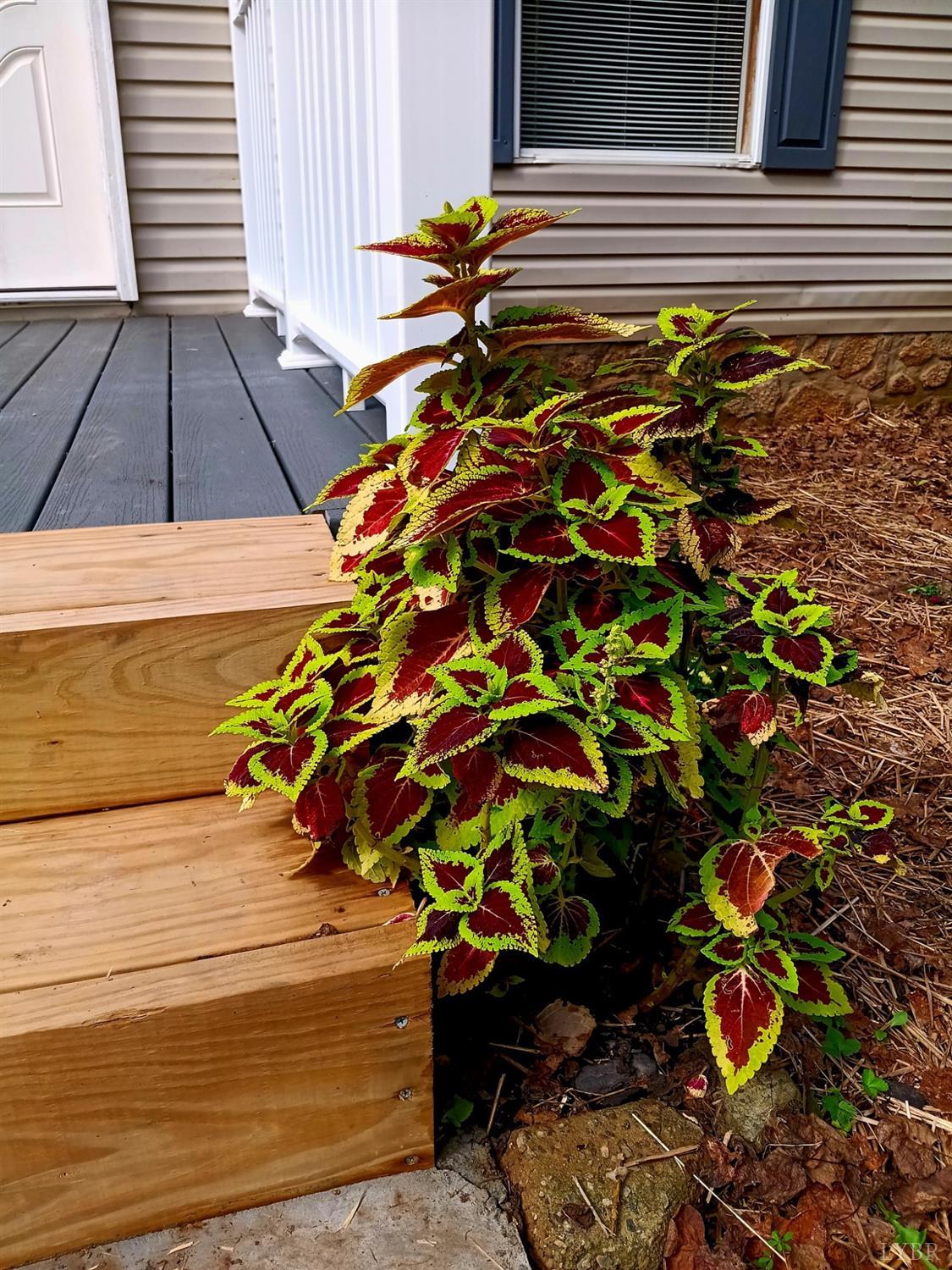 212 Bruner Ridge Road Monroe, VA 24574 - Photo 3 of 51 Gallery Image 3
