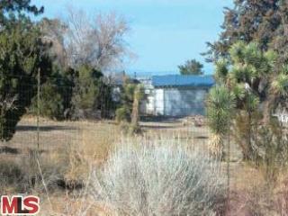 20757 Fort Tejon Road Llano, CA 93544 - Photo 1 of 1 Gallery Image 1