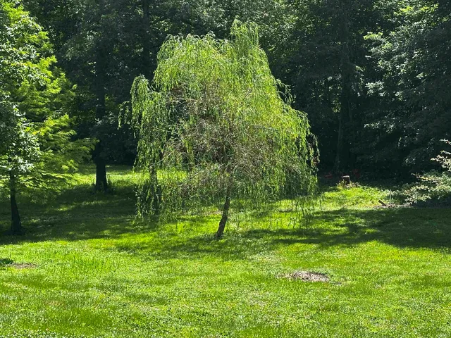 $265,000 | 2956 Highway 257, Washington, IN 47501