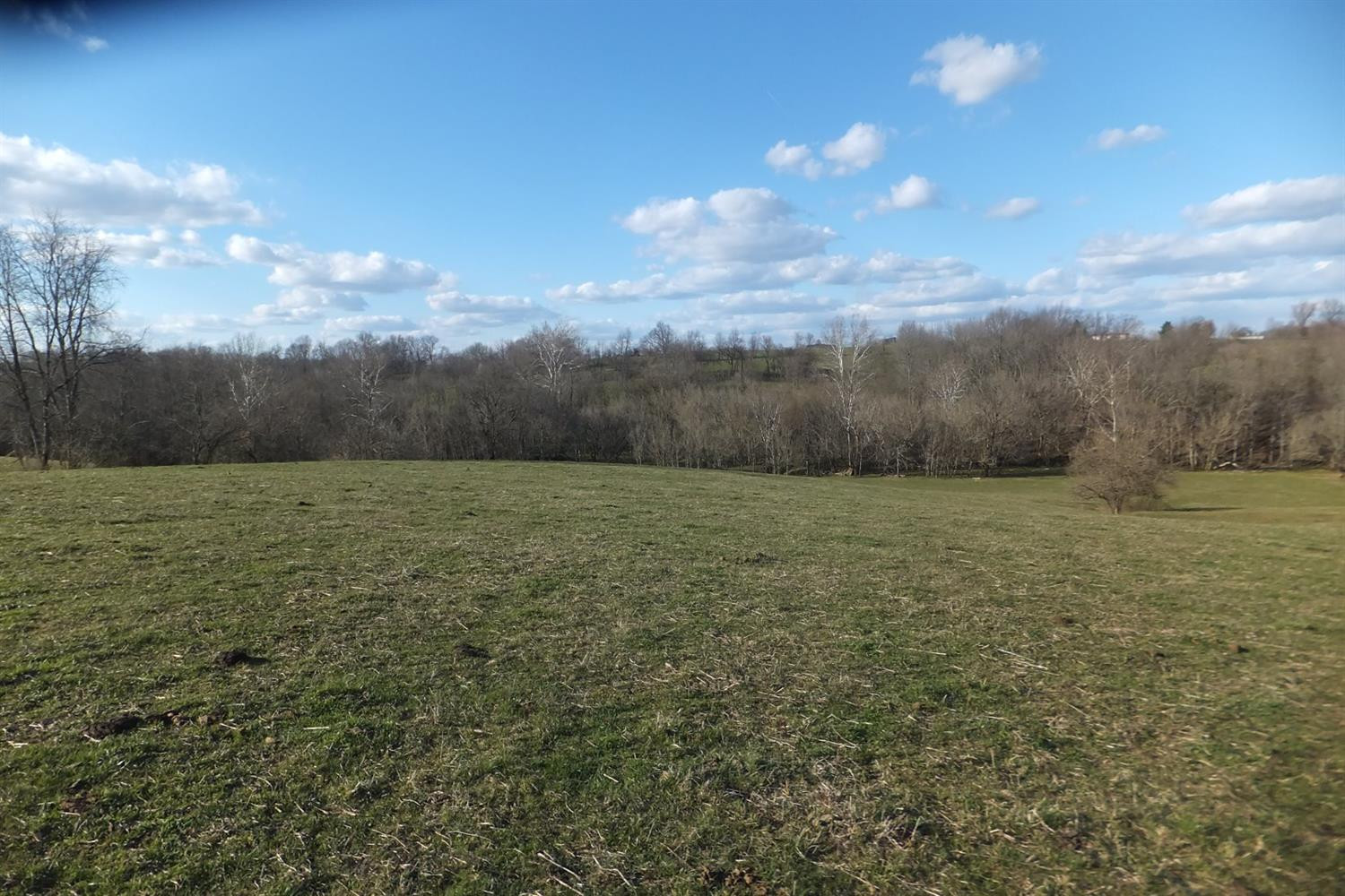 2500 Van Thompson Road Mount Sterling, KY 40353 - Photo 3 of 8 Photo 3