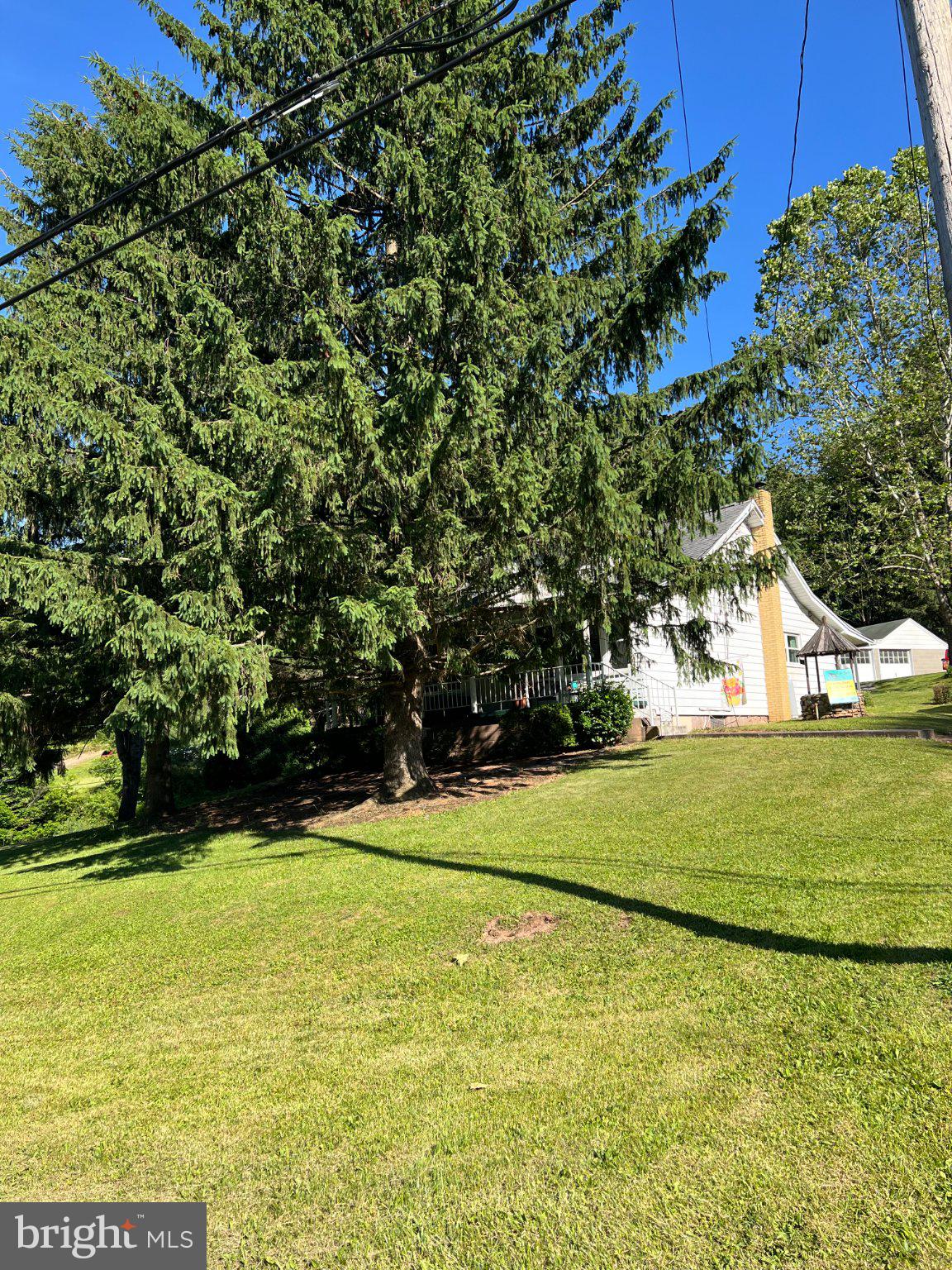 11402 Red Hill Road Southwest La Vale, MD 21502 - Photo 68 of 92 Charming home nestled among tall pines.