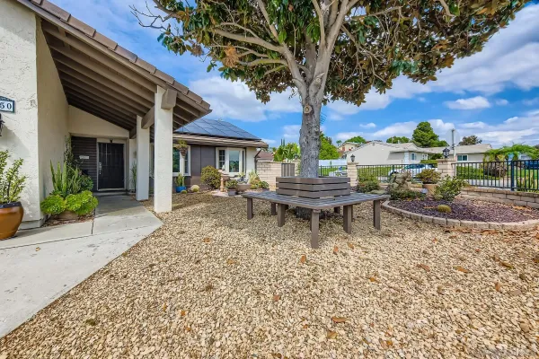 a outdoor space with a large tree