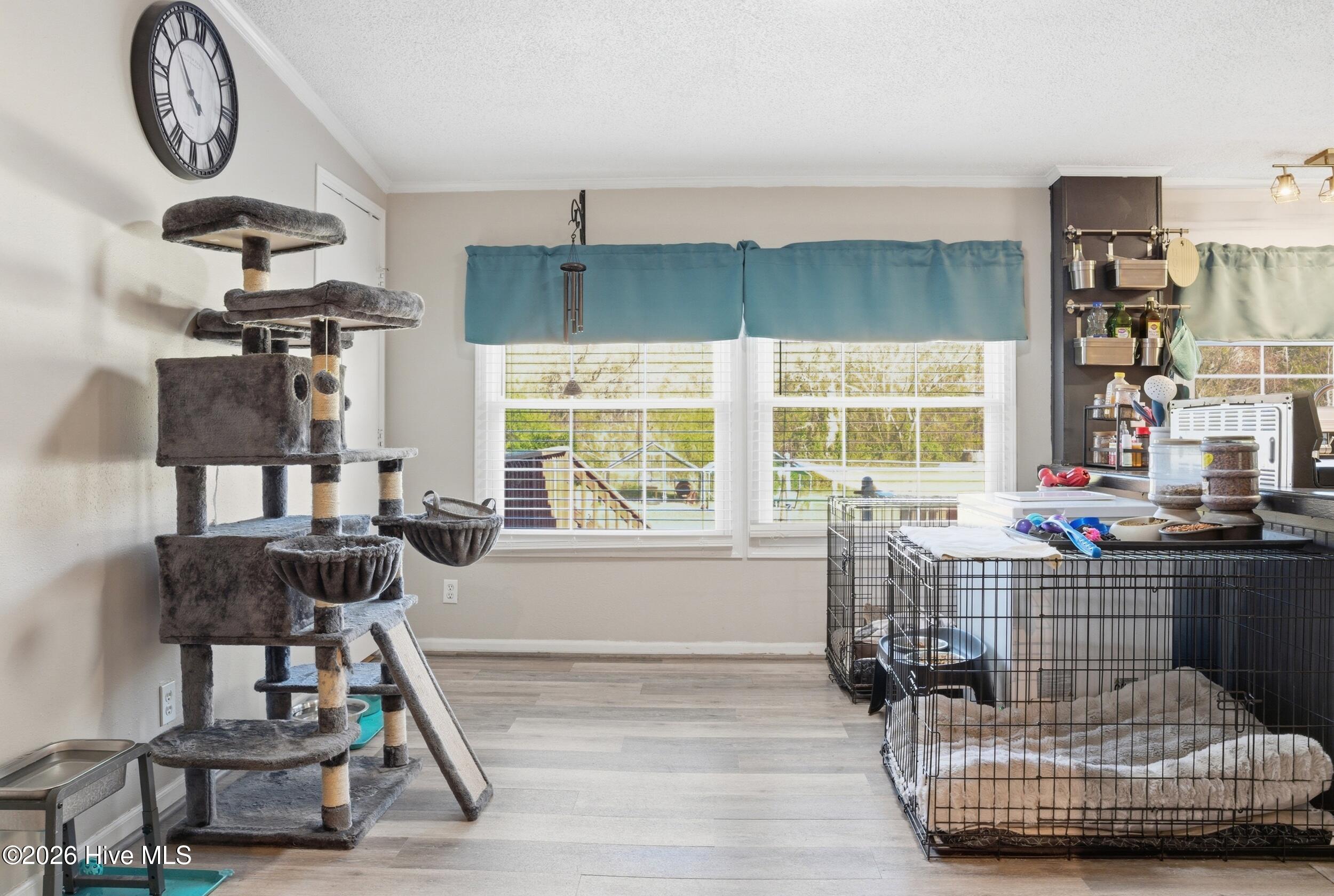 797 Rooks Road Gates, NC 27937 - Photo 7 of 31 dsc08746