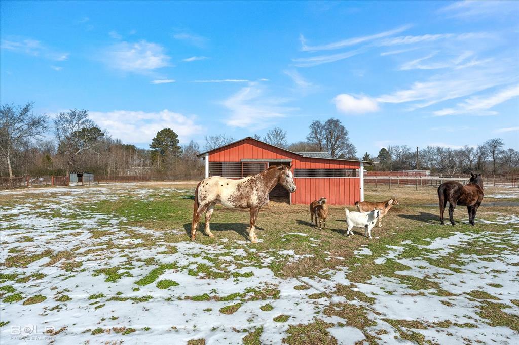 11365 Sparks Davis Road Keithville, LA 71047 - Photo 8 of 39